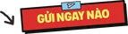 Gửi ngay nào