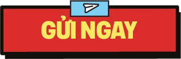 Gửi ngay nào